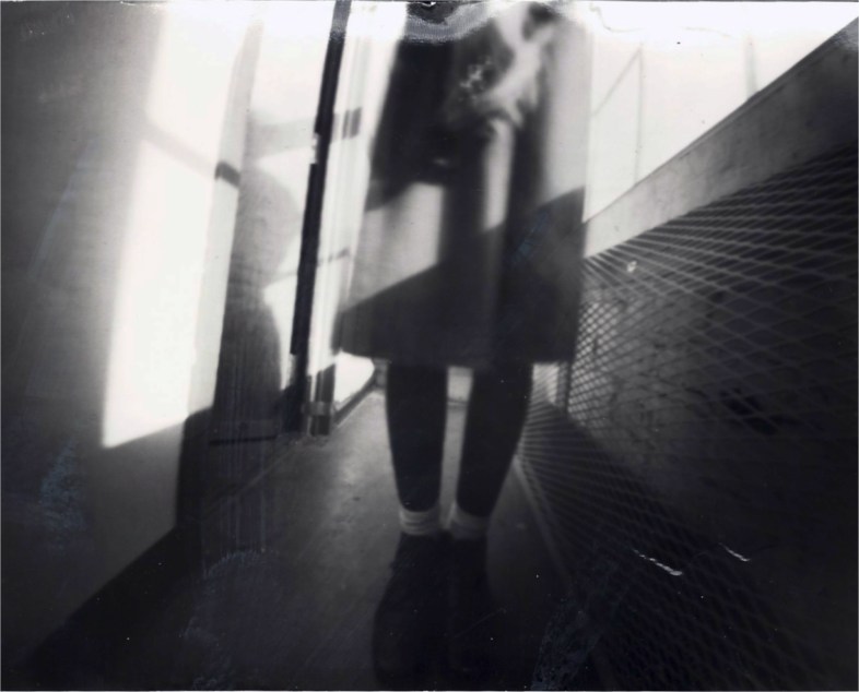 Flickr / siagerowe