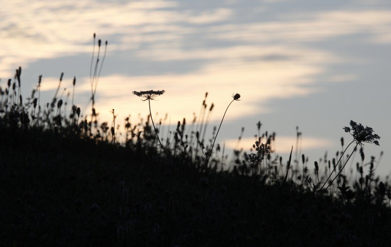 Flickr / jenny downing