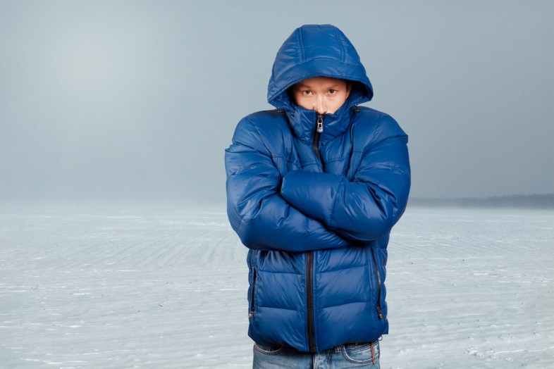 leedsn / Shutterstock.com.