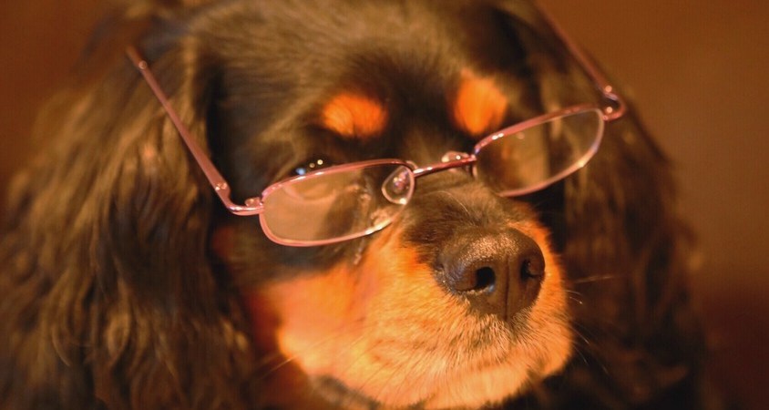 10 Problems Only People That Wear Glasses Will Understand Thought Catalog