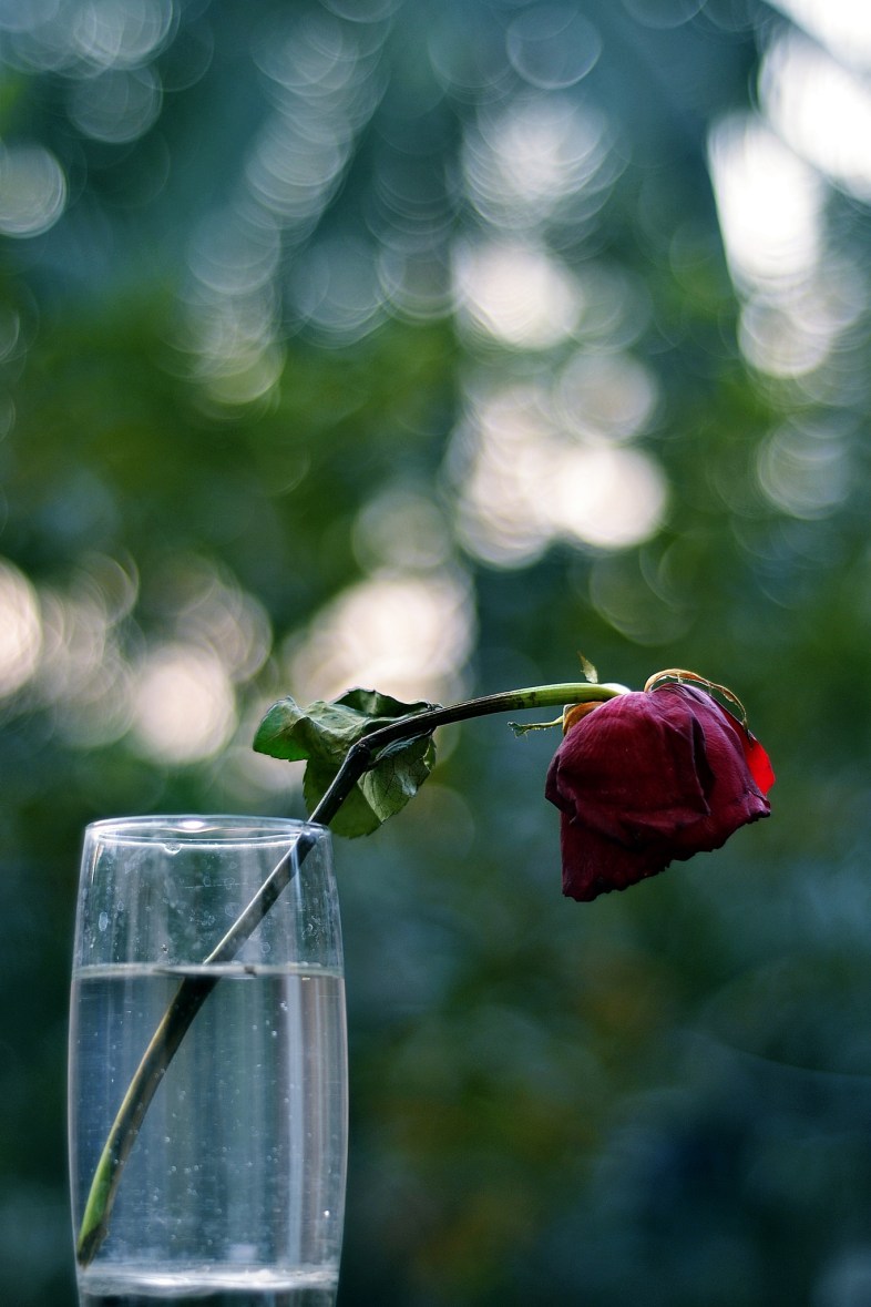 Flickr / Soumyadeep Paul