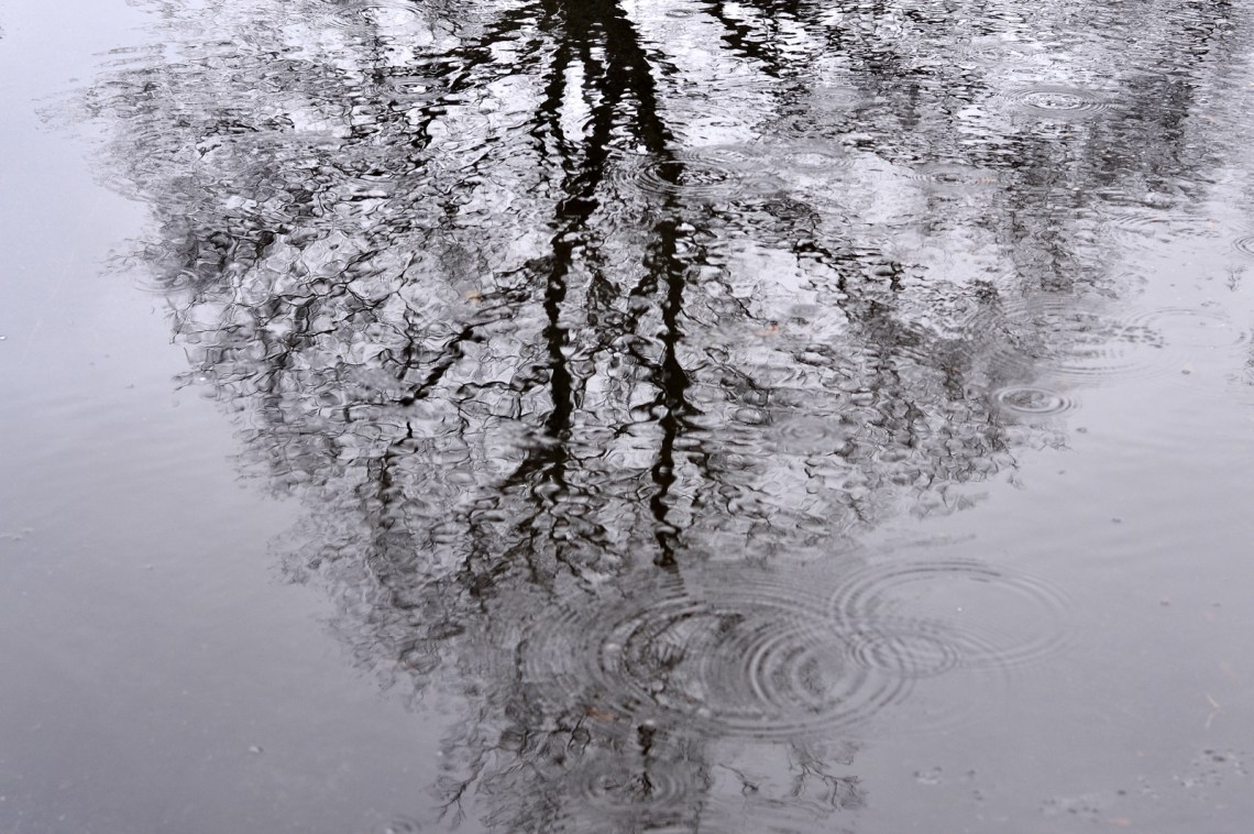 via Flickr - Marcy Leigh