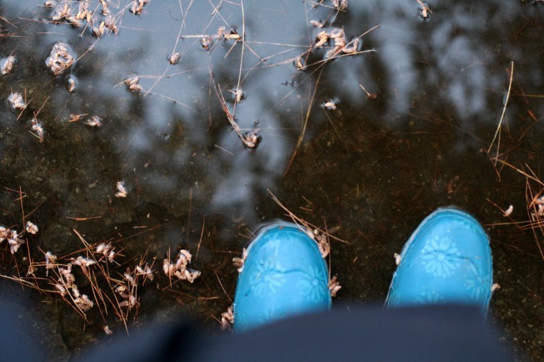 Flickr / Clarice