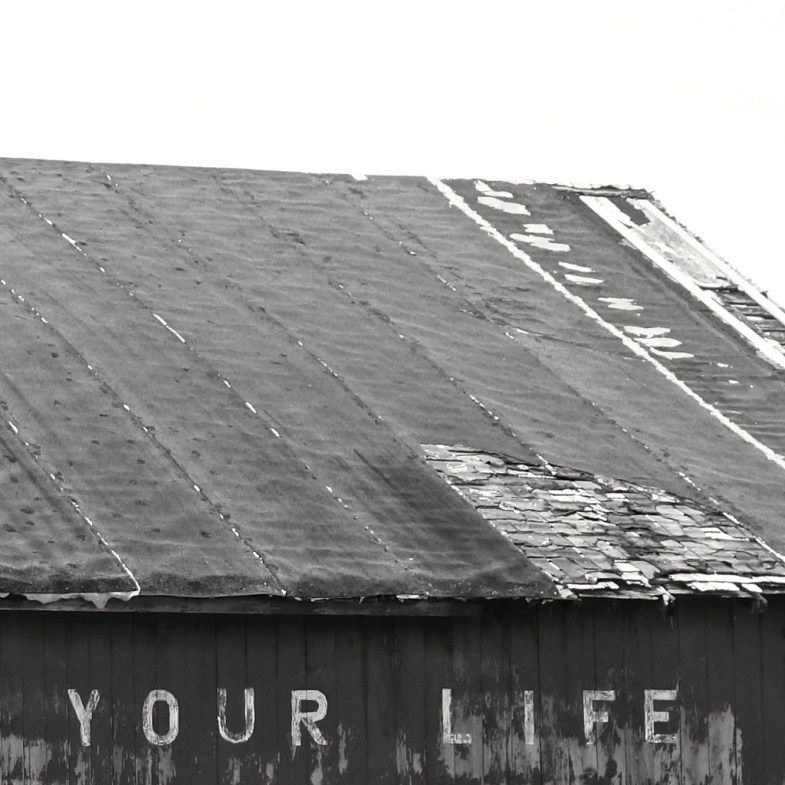 Flickr / Kevin Dooley