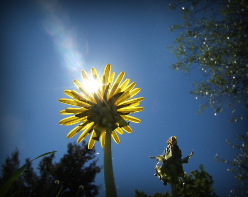 60 Tiny Everyday Victories We Should All Celebrate More Often