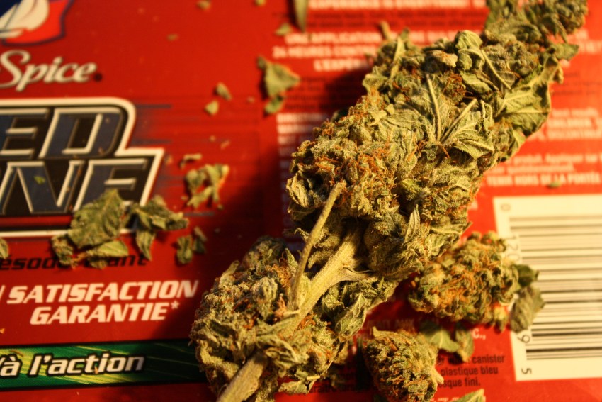 40 Classic Quotes About Marijuana