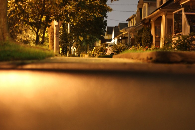 Flickr / Danielle Scott