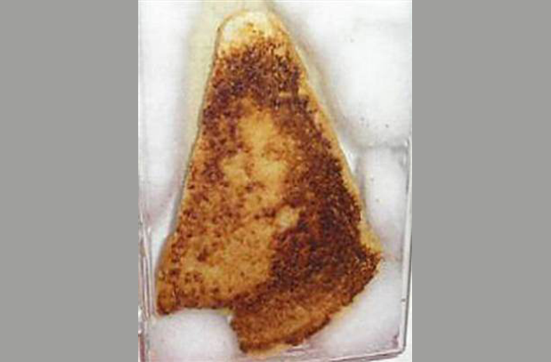 "I saw a face looking up at me... It was Virgin Mary staring back at me. I was in total shock." — said the Florida woman who made this grilled cheese sandwich and later sold it on eBay as a religious relic for $28,000.