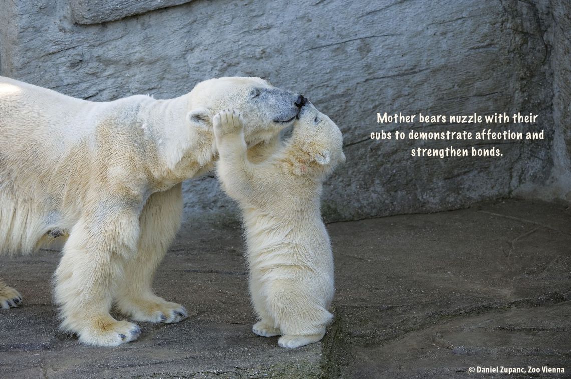 Reprinted with permission of Simon & Schuster Zooborns / Amazon