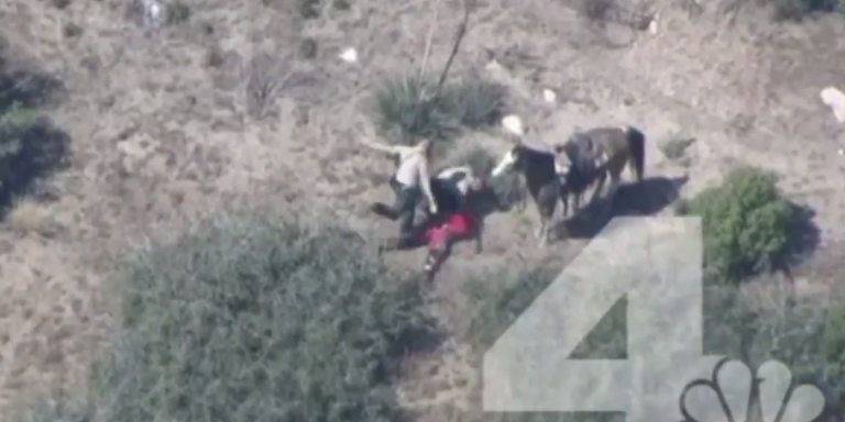 Police Beating Of California Horse Thief ‘The Worst Since Rodney King’