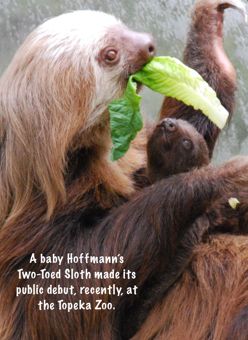 Reprinted with permission of Simon & Schuster