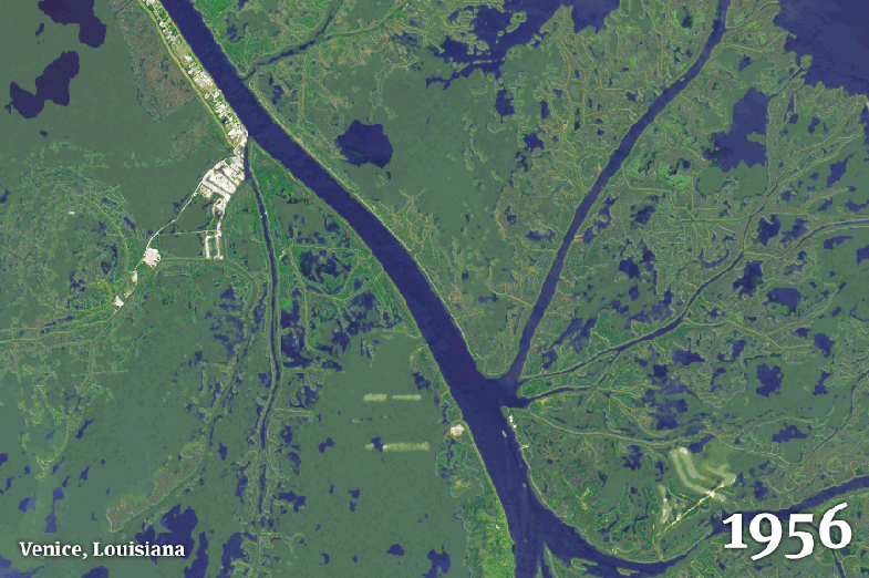 venice_gif