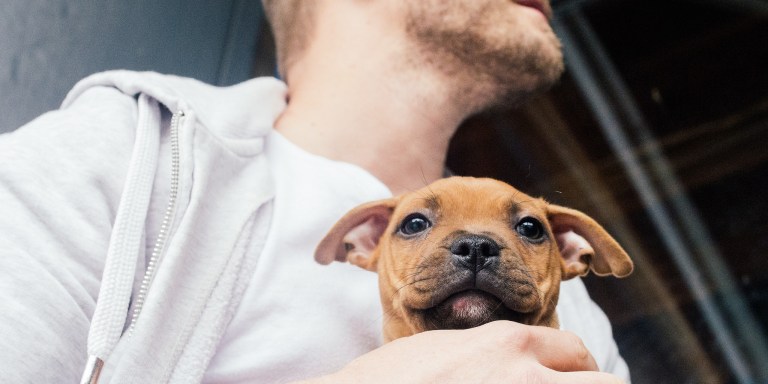 15 Things Only People In Relationships With Dog Lovers Will Understand
