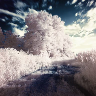 9 Types of Dreams You Have And What They Actually Mean