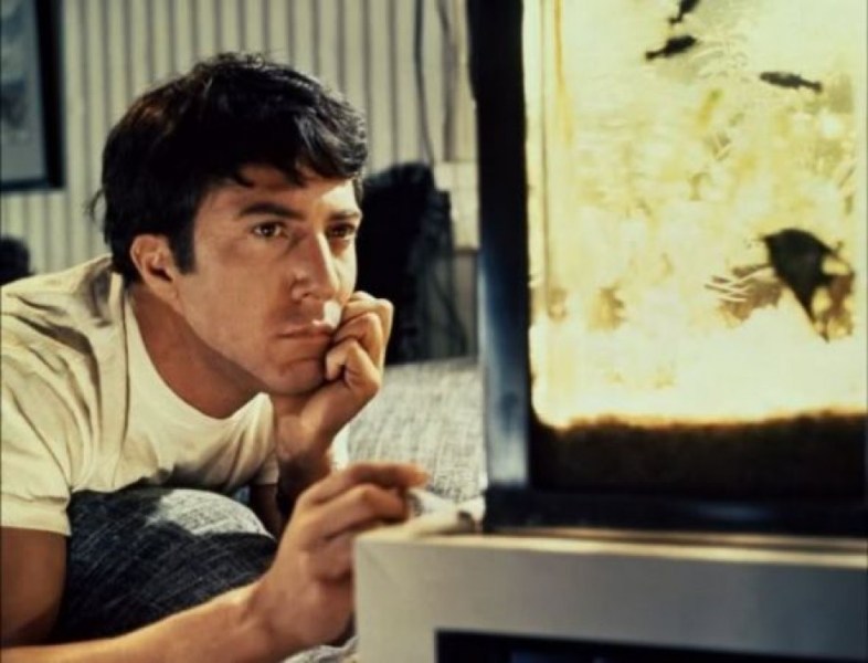 The Graduate