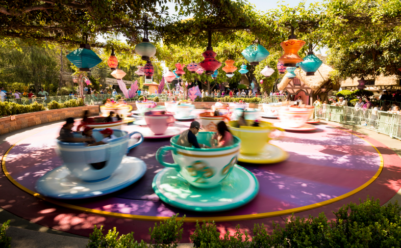 11 Major Differences Between Disneyland and DisneyWorld | Thought Catalog