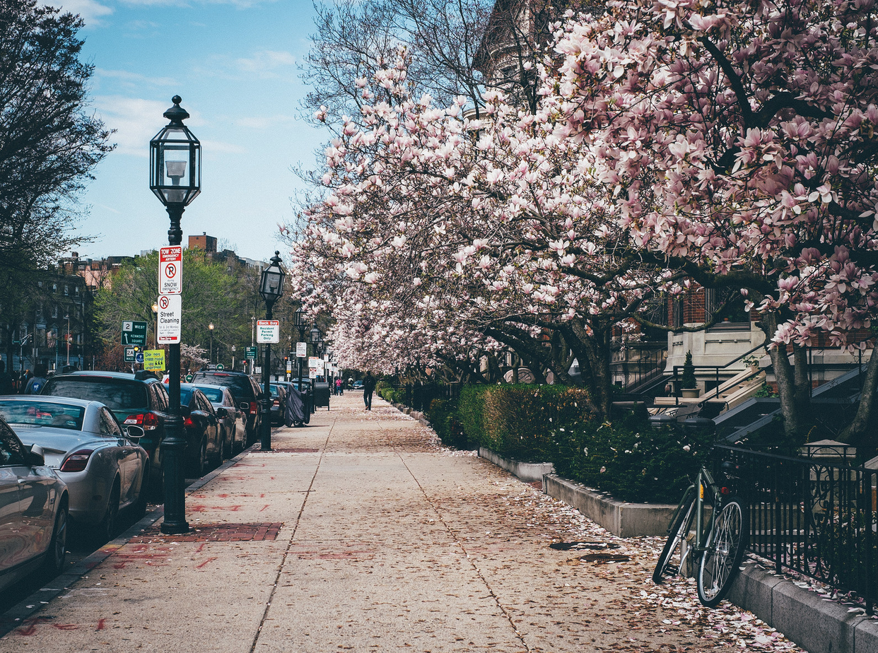 The 100 Greatest Quotes About Spring | Thought Catalog