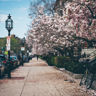 The 100 Greatest Quotes About Spring