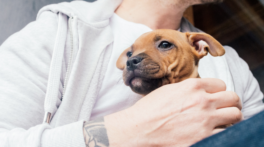 Here’s What Each Myers-Briggs Type Needs On A Bad Day