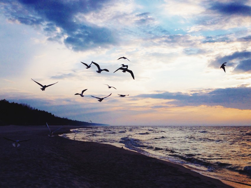 17 People Share What Helped Them Feel Better After A Breakup