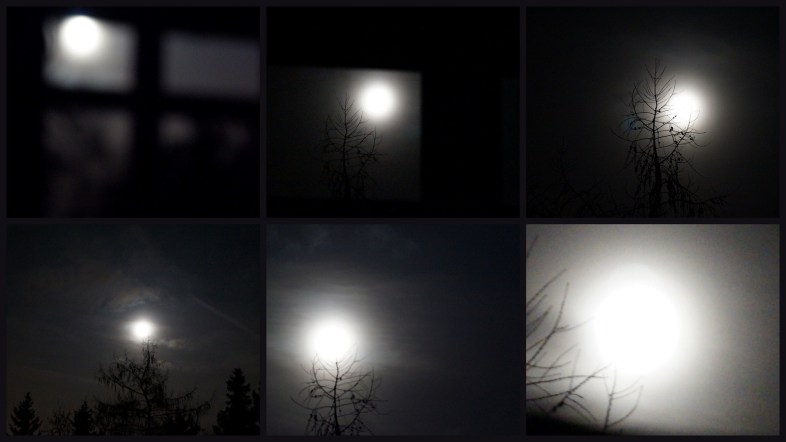 via Flickr - Von Mond Geweckt