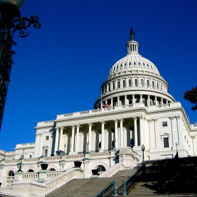 This Is How You Survive Being An Intern On The Hill