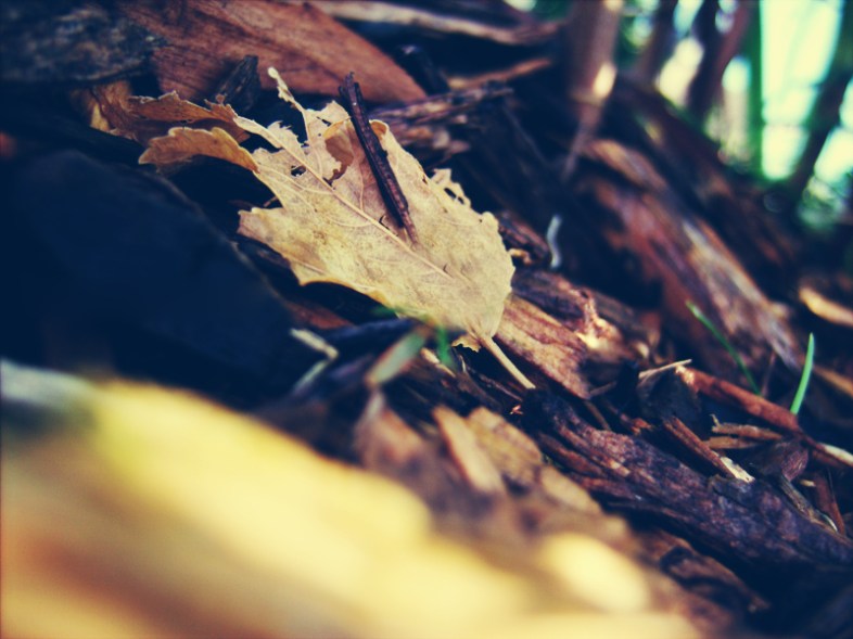 Flickr / Hannah Nicole