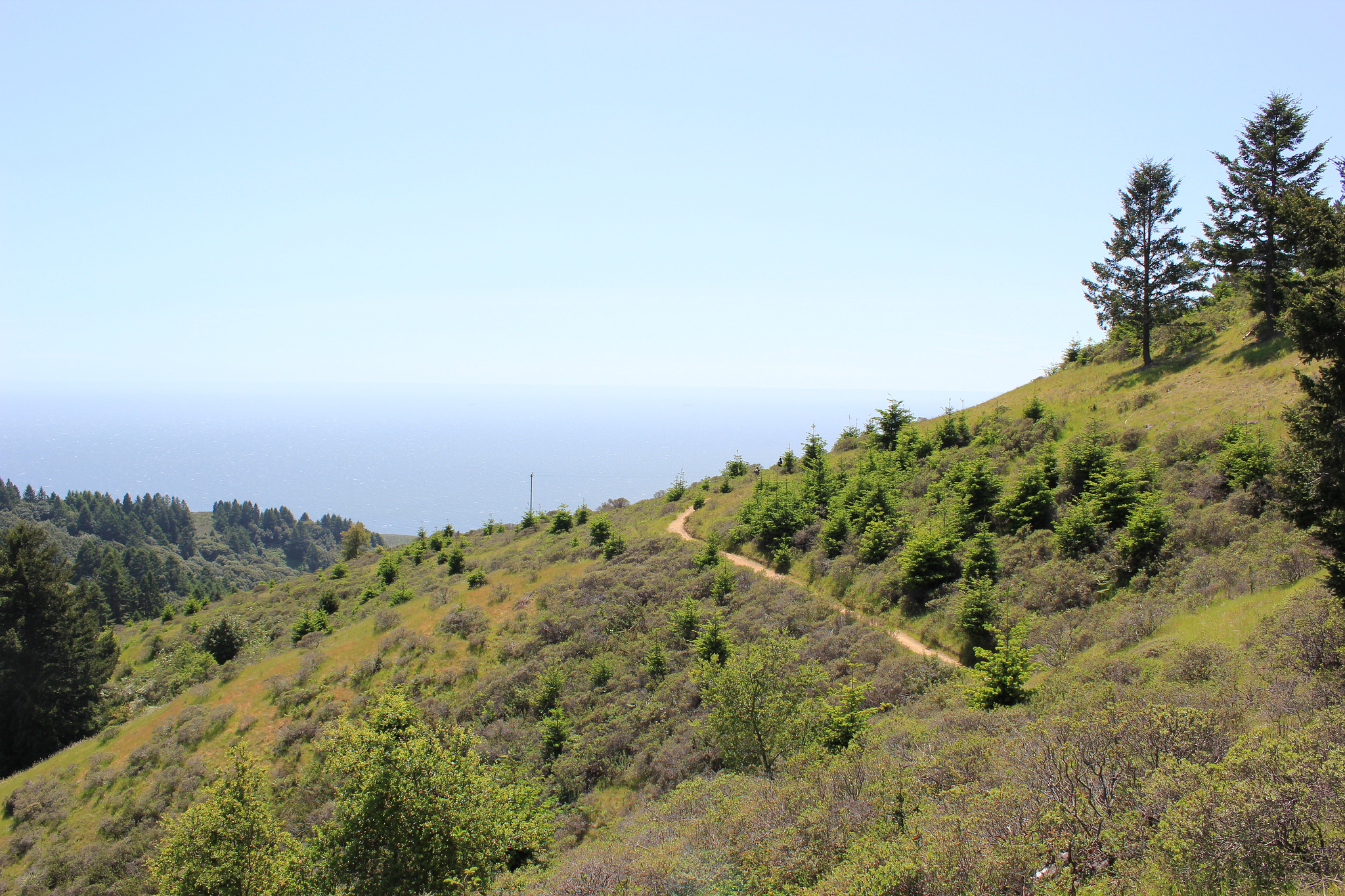 The Legend Of The Dipsea Trail Thought Catalog