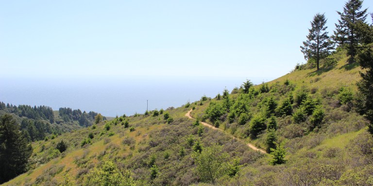The Legend Of The Dipsea Trail