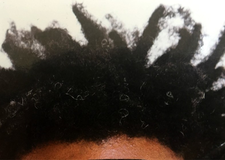 Twisted: My Dreadlock Chronicles