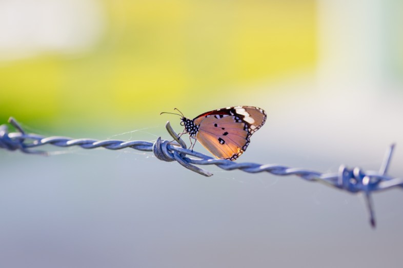iStockphoto / Natee127