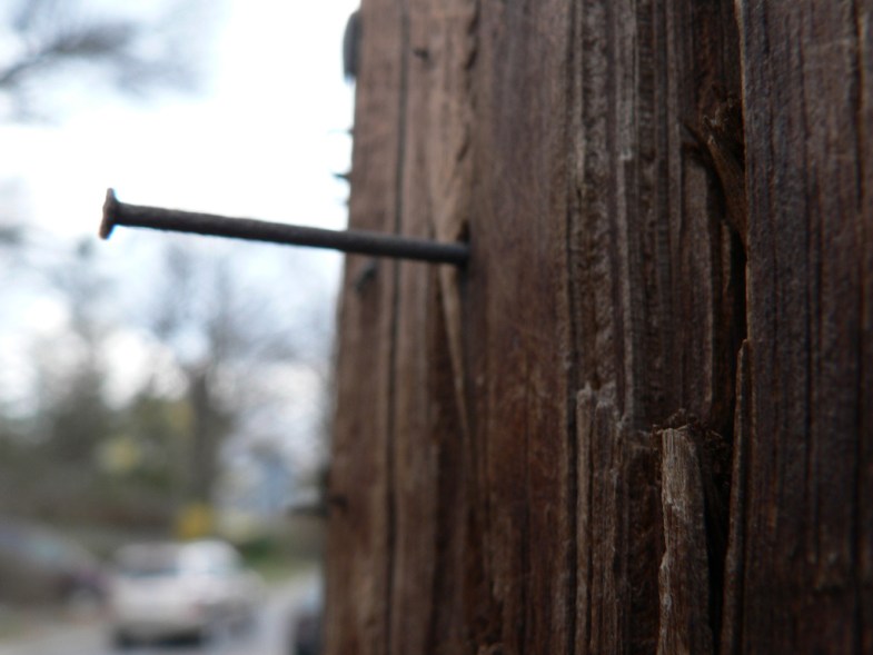 Flickr / Josh