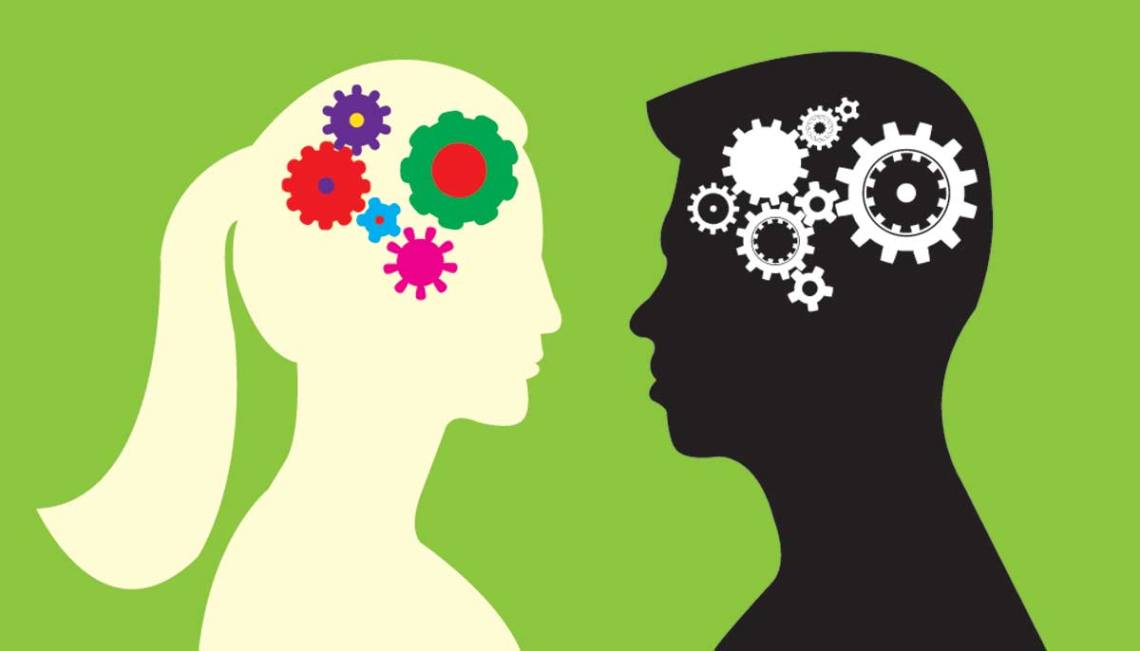 13 Real Differences Between Male And Female Brains