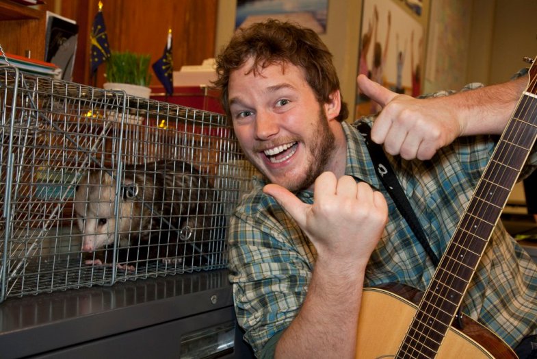 Parks and Recreation