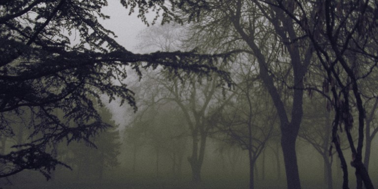 9 Of The Creepiest Encounters That Have Ever Happened In The Wilderness