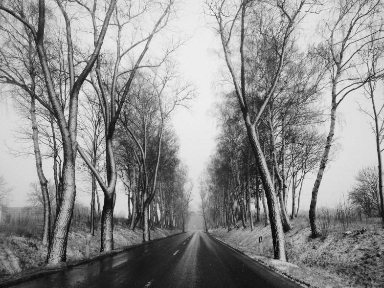 Flickr / Jörg Schubert