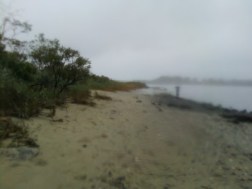 beach fog