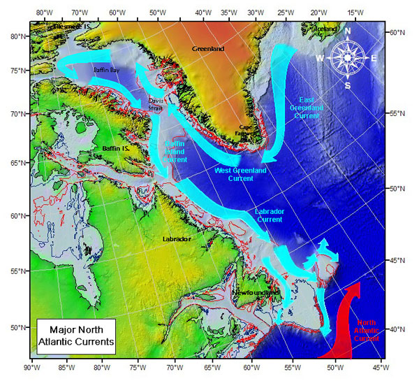 Labrador Sea via Wiki Commons