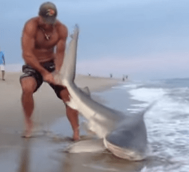 This Dude Really Likes Wrestling Sharks With His Bare Hands