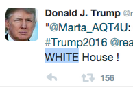 Does This Retweet From Donald Trump Sound Racist To You?