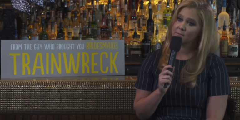 An Interviewer Called Amy  Schumer’s ‘Trainwreck’ Character Skanky And She Refused To Let Him Get Away With It