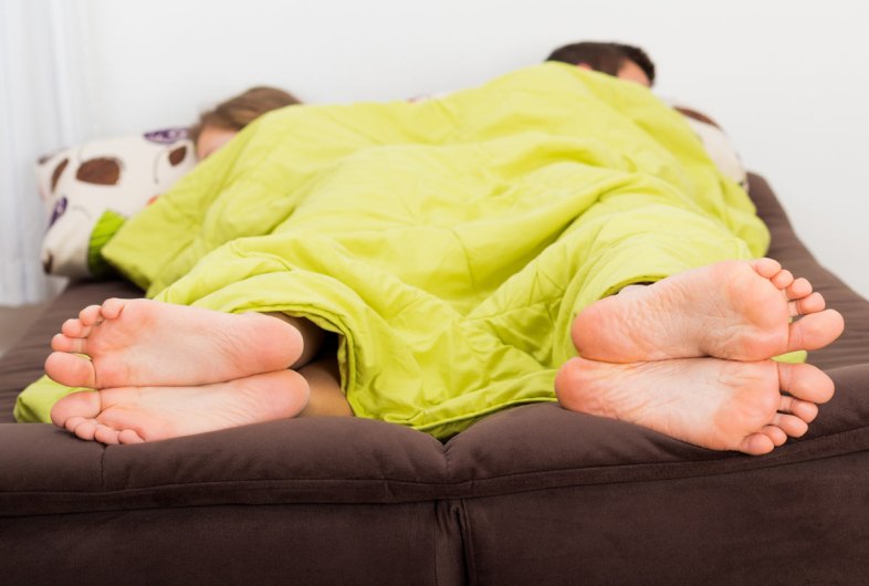 Shutterstock / Barabasa
