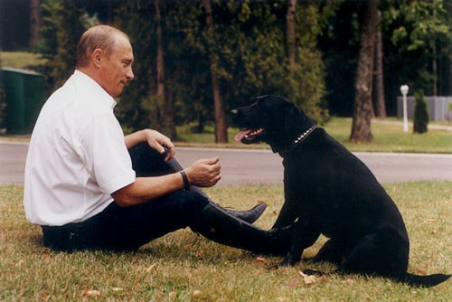 Vladimir_Putin_and_Koni-4