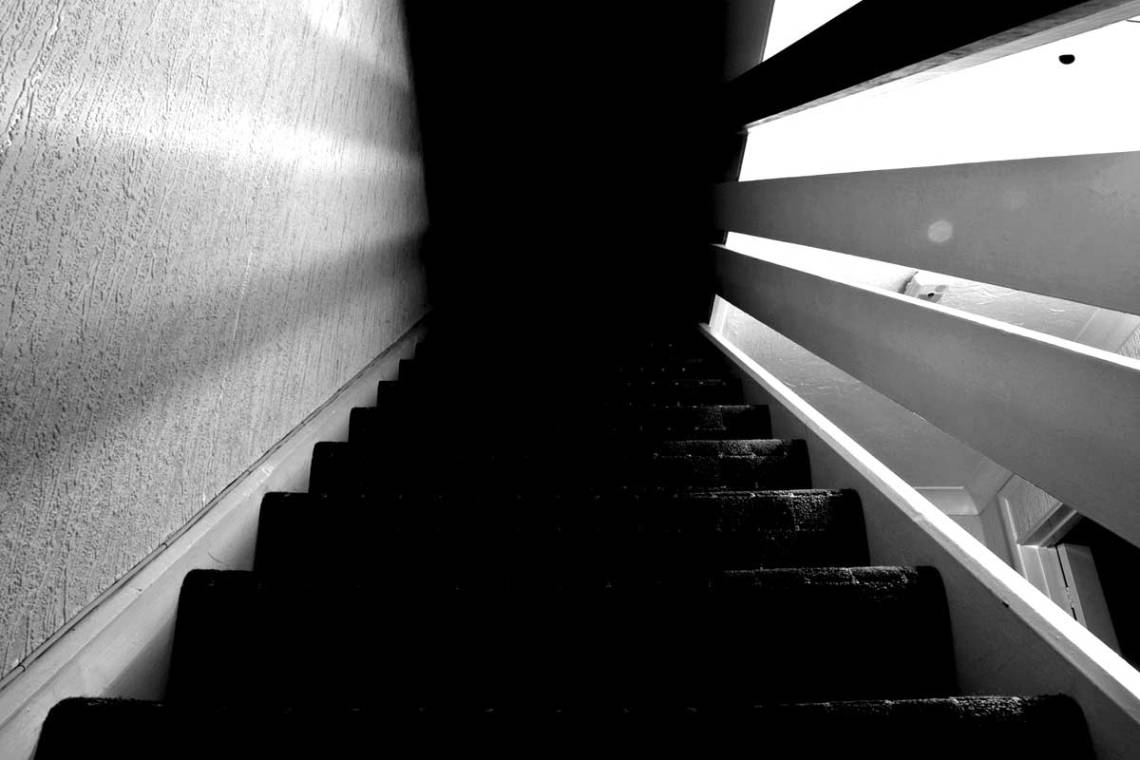 Flickr David Jones