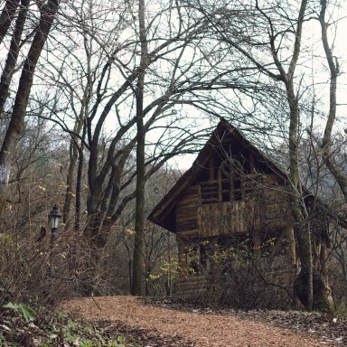 I Was Drunk When I Found This Cabin In The Woods And I’m Afraid There’s Something Cursed Living There