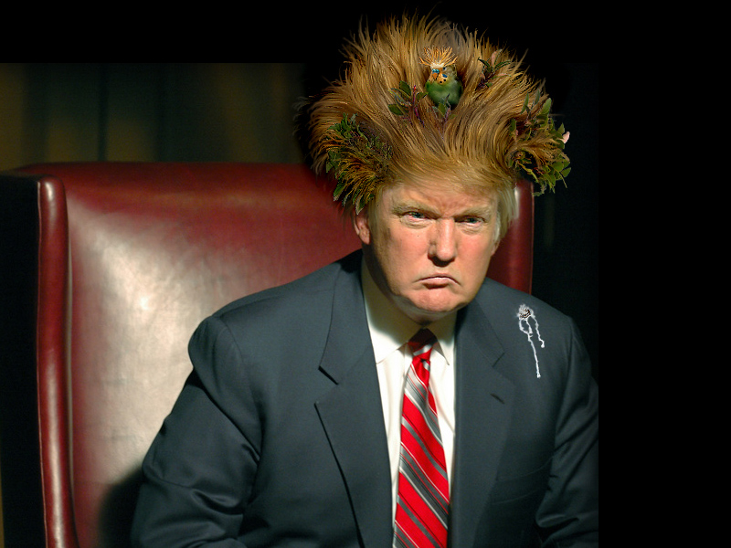 Hair Force One: 40 Of The Funniest Donald Trump Jokes | Thought Catalog