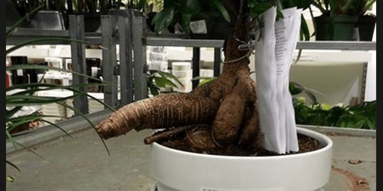30 Hilarious Photos Of Inanimate Objects That Mildly Resemble A Penis