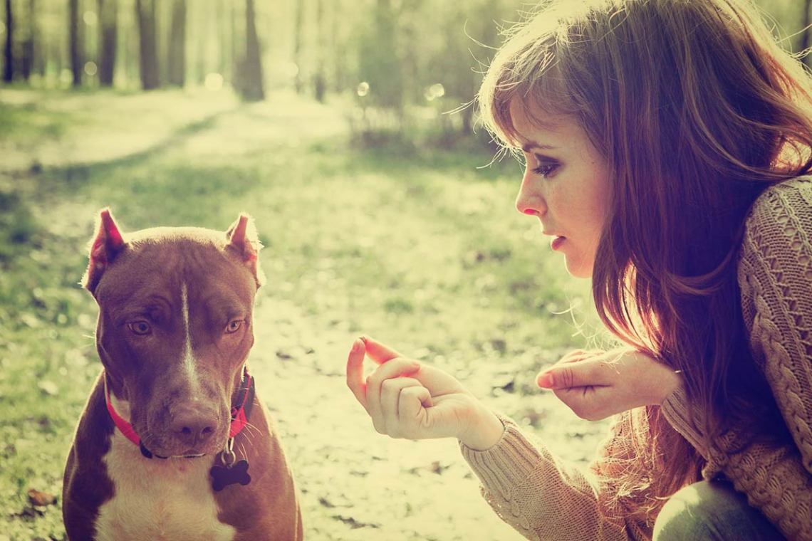 Shutterstock / Irina Bg