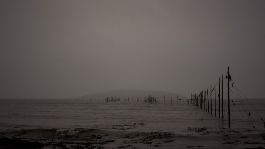 There Is An Island Off The Coast Of Washington Where A Religious Cult Operates A ‘Colony’