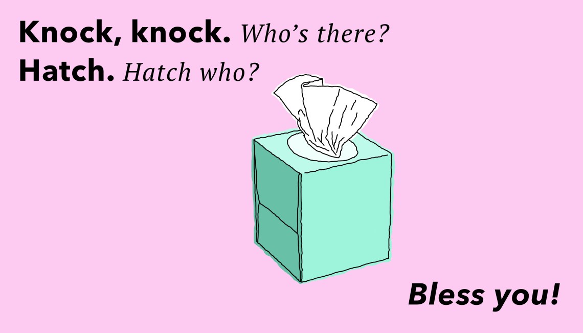 Knock Knock Jokes Hatchoo